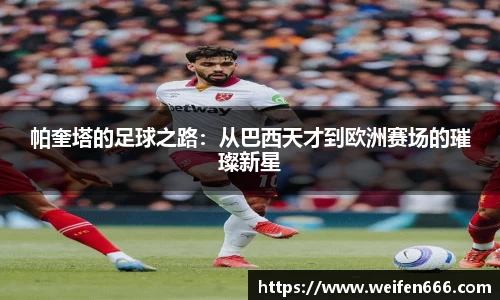 博鱼官方网站