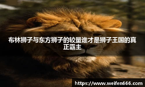 博鱼官方网站